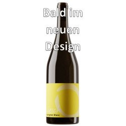 Sauvignon Blanc 2021, 75 cl, Malans, AOC Graubünden