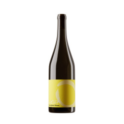 Sauvignon Blanc 2024, 75 cl, Malans, AOC Graubünden, Bio Suisse