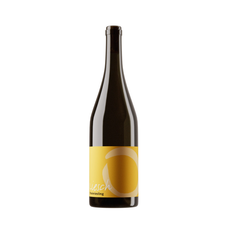 Rheinriesling 2025, 75 cl, Malans, AOC Graubünden, Bio Suisse