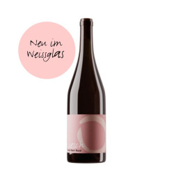 Pinot Noir Rosé 2025, 75 cl, Malans, AOC Graubünden, Bio Suisse